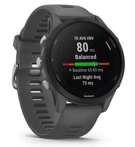 Спортивные часы Garmin Forerunner 255 [010-02641-10]