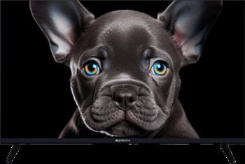 32 (80 см) LED-телевизор Topdevice TDTV32CS08F черный