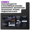 43 (109 см) LED-телевизор EVO TV 43 белый [TD0051750RU]