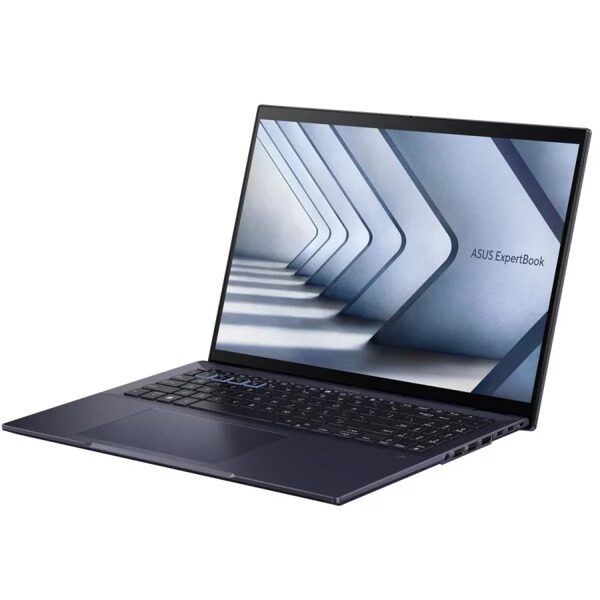 ASUS ExpertBook B5 B5604CVA-QY0053X Intel Core i5 1335U 1300MHz/16/2560x1600/16GB/512GB SSD/Intel Iris Xe Graphics/Wi-Fi/Bluetooth/Windows 11 Pro (90NX07A1-M001U0) Star Black