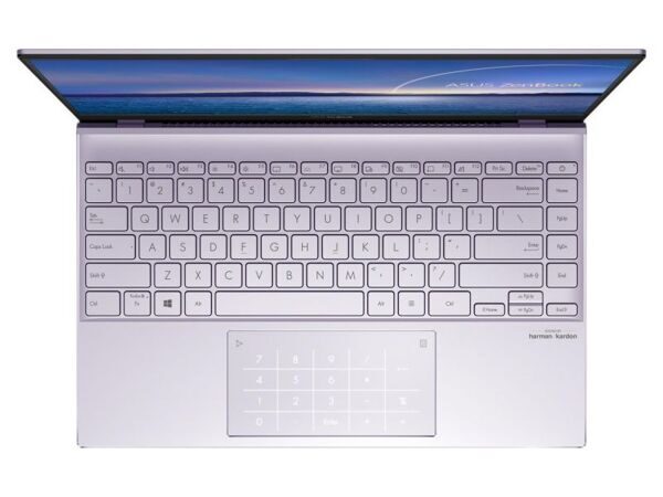 ASUS ZenBook 13 UX325JA