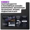 24 (61 см) LED-телевизор EVO TV 24 белый [TD0051748RU]