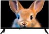 24 (61 см) Телевизор Topdevice TDTV24ES13H_BK черный